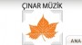 Çınar Müzik